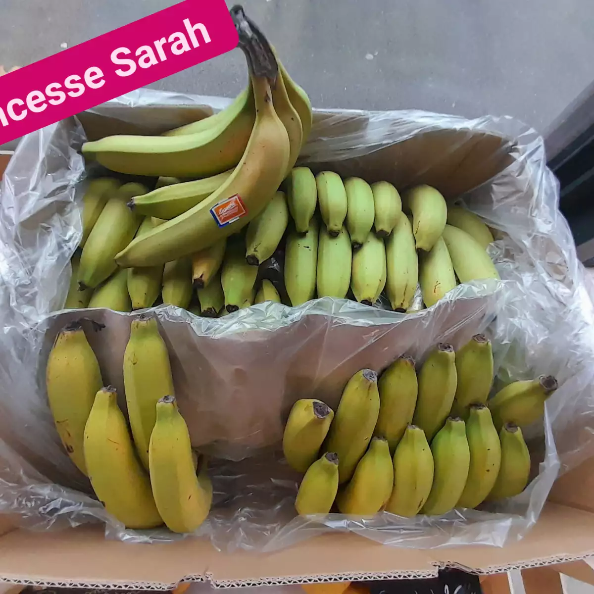 Banane non traite